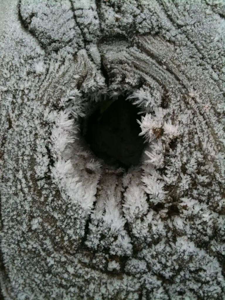 frosty hole (4)